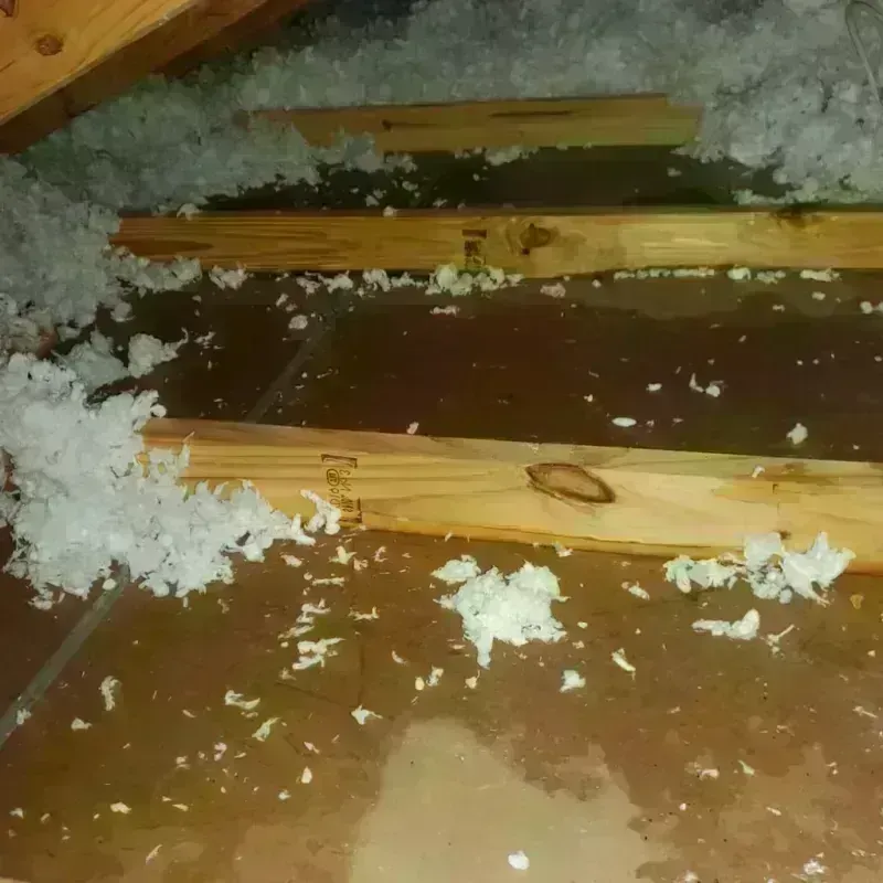 Attic Water Damage in Centralia, WA